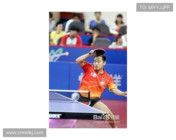 陈芳独家分享乒乓球技巧与心得助你提升球技的全面指南